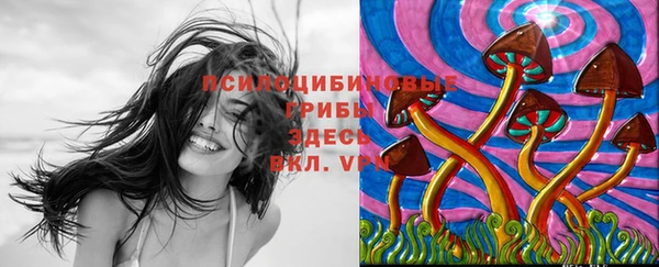 гидра Дмитриев