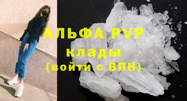 гидра Дмитриев